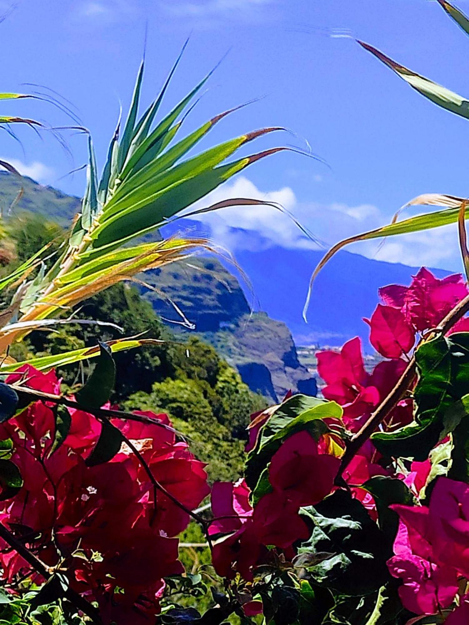 Bluegreen Hotel Arco da Calheta  Bagian luar foto